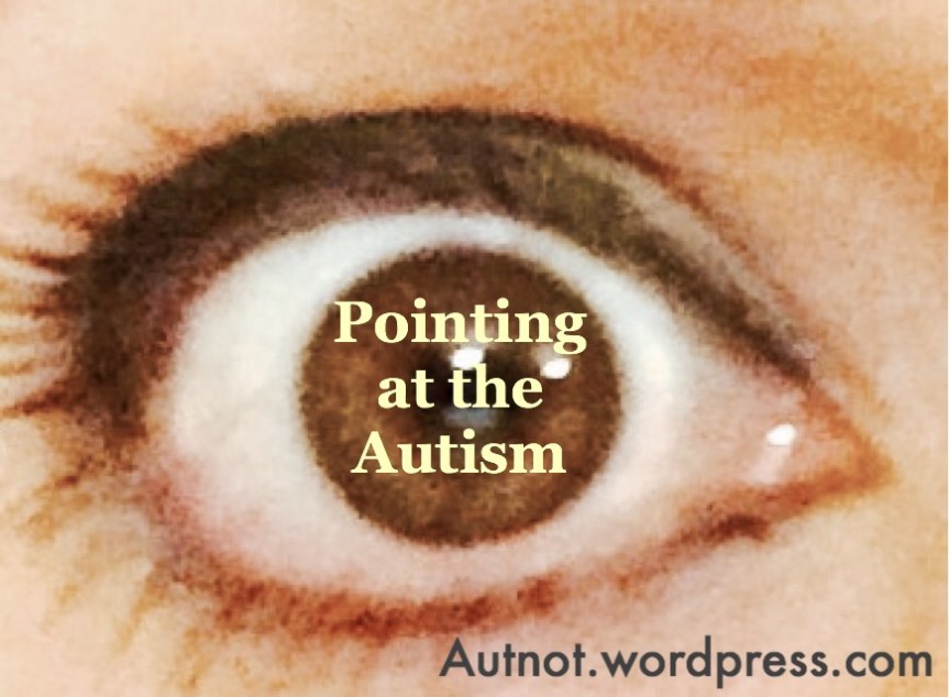 Pointing at the&nbsp;Autism