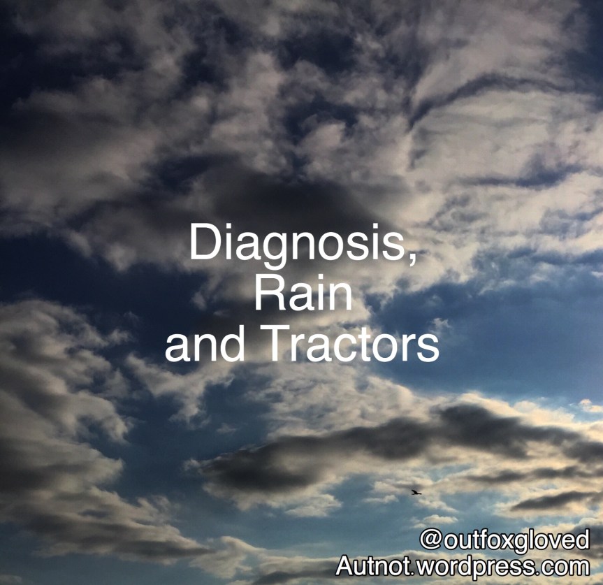 Diagnosis, Rain and&nbsp;Tractors