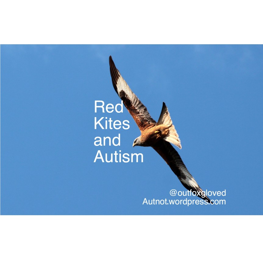Red Kites and&nbsp;Autism
