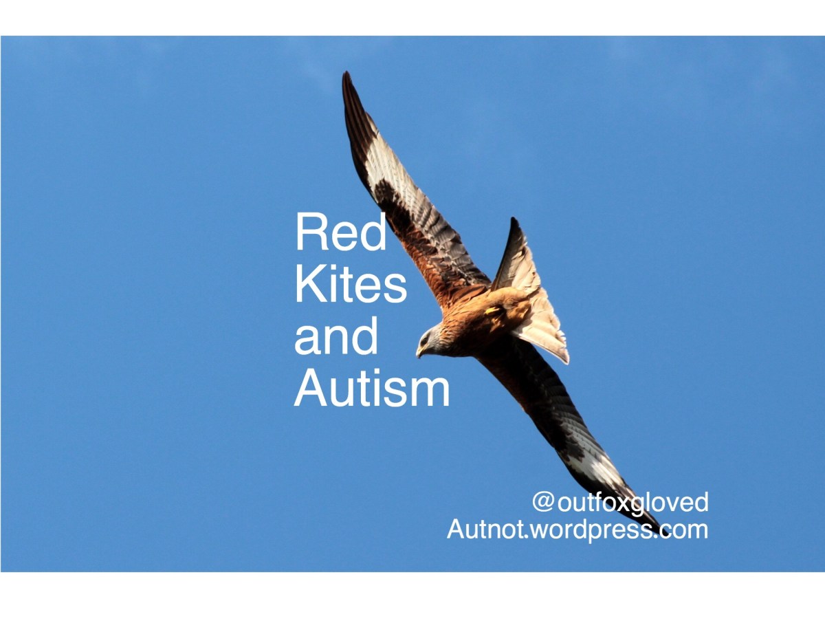 Red Kites and&nbsp;Autism