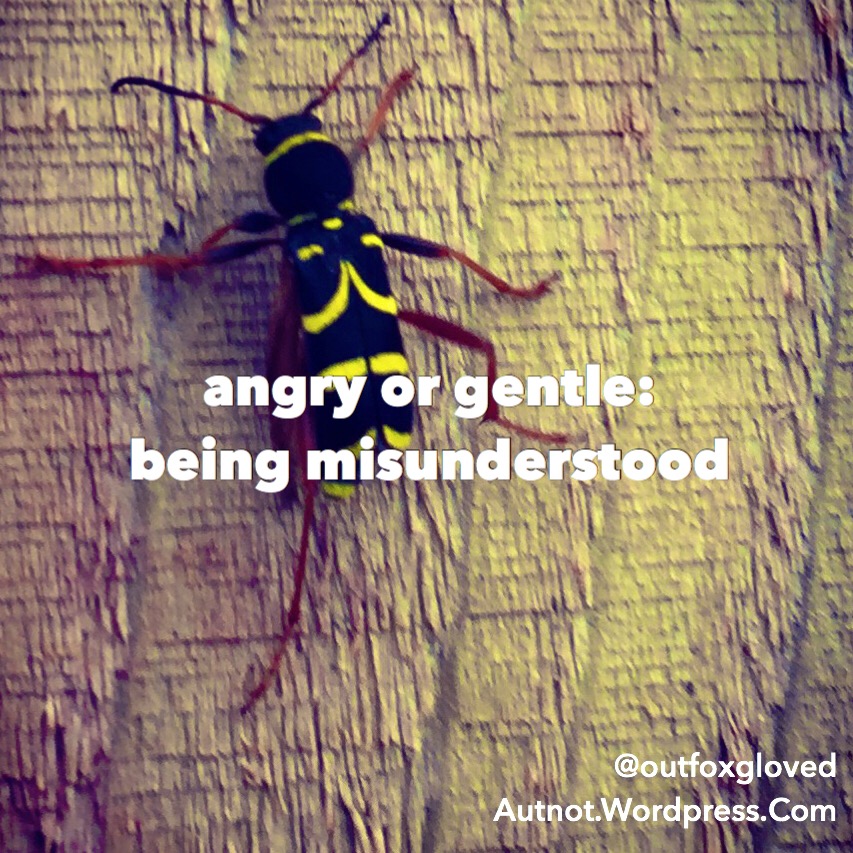 Angry or Gentle: being&nbsp;misunderstood