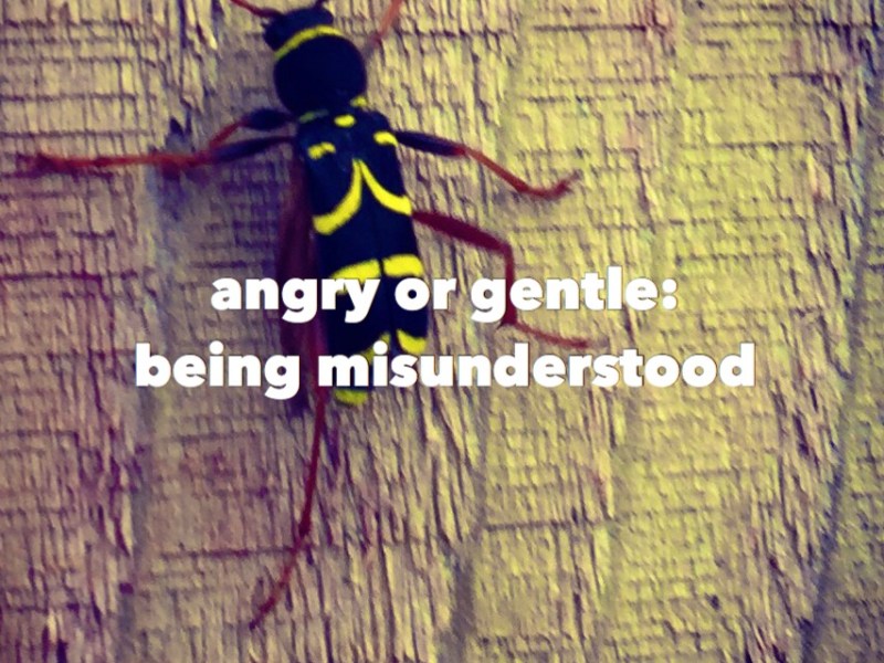 Angry or Gentle: being&nbsp;misunderstood