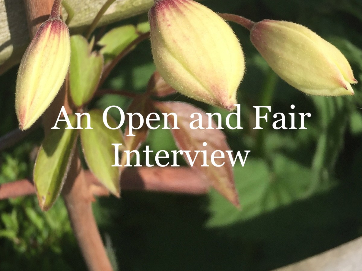 An Open and Fair&nbsp;Interview