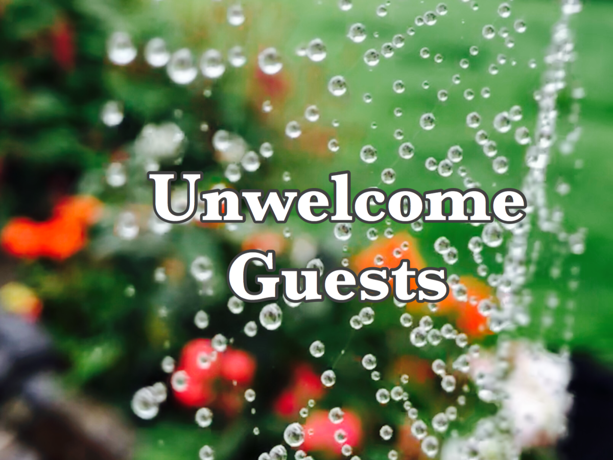 Unwelcome Guests