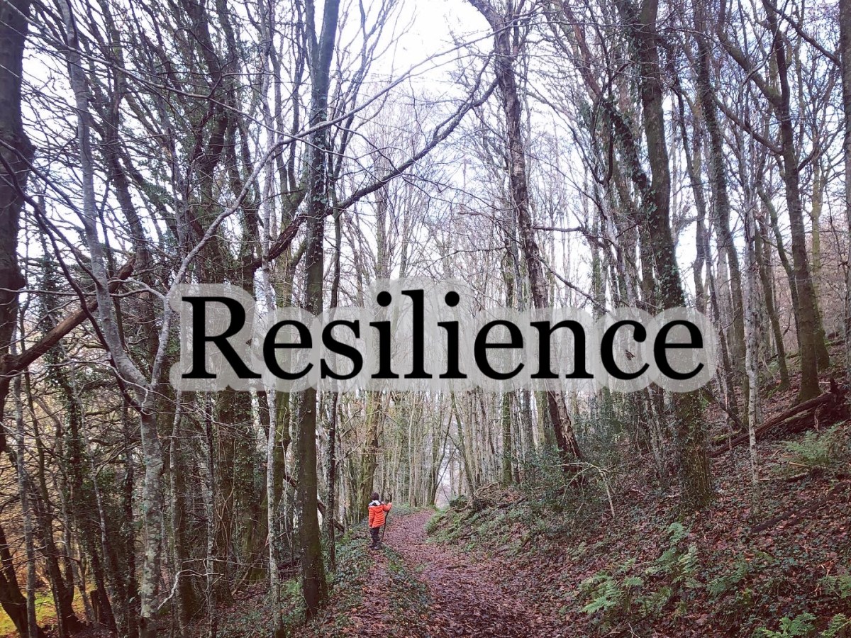 Resilience